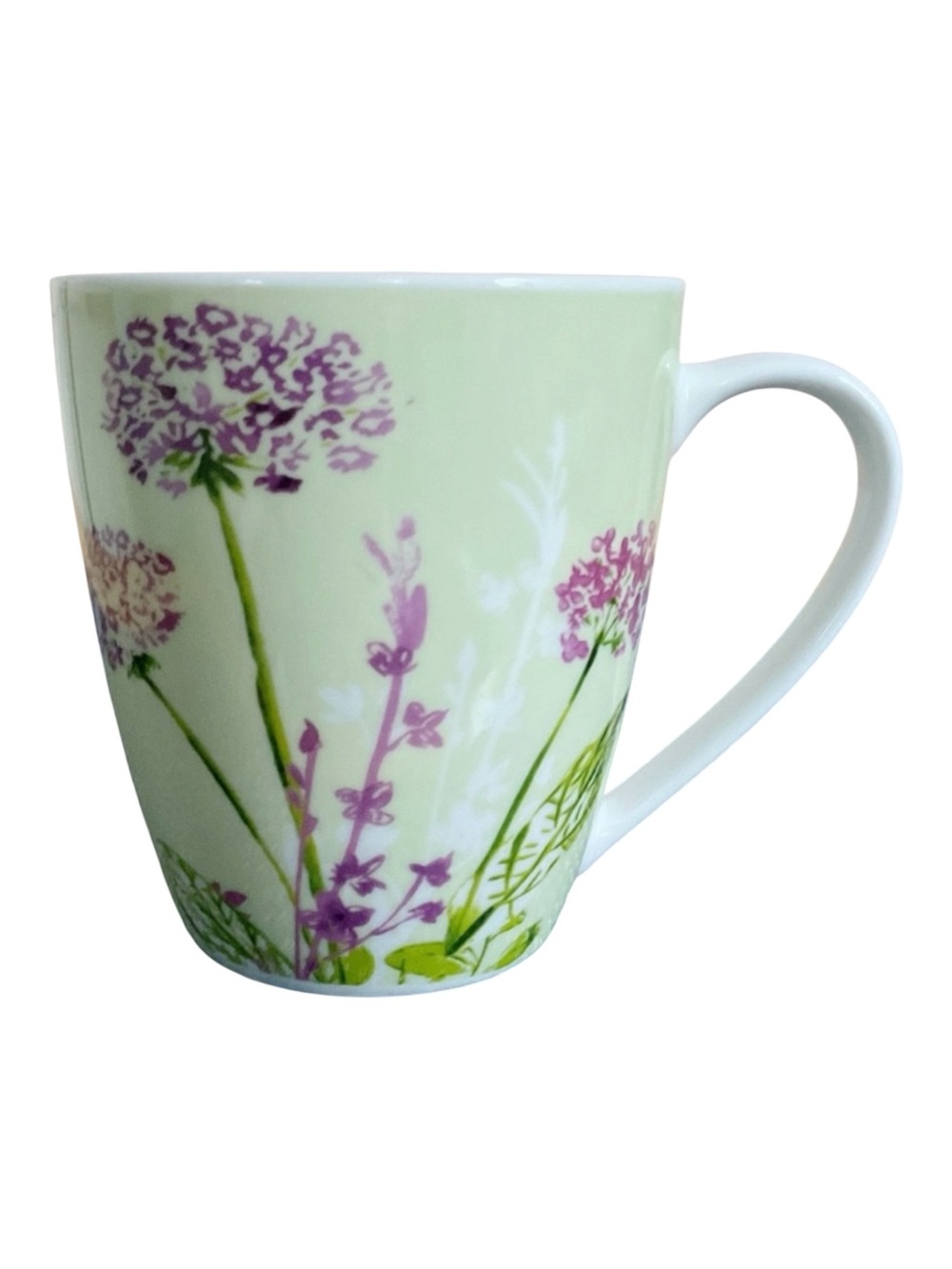 Aynsley Floral Spree Fine Bone China Mug England Mint Green Purple Wildflowers